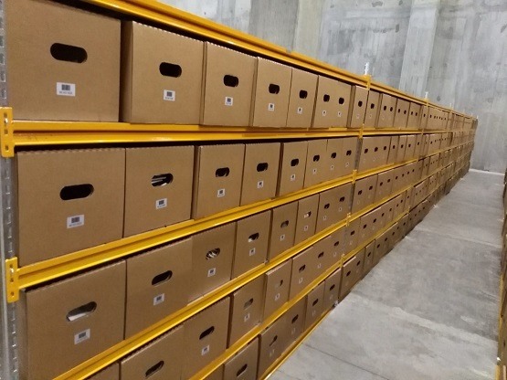 Sipariş Hazırlama Raf Sistemi